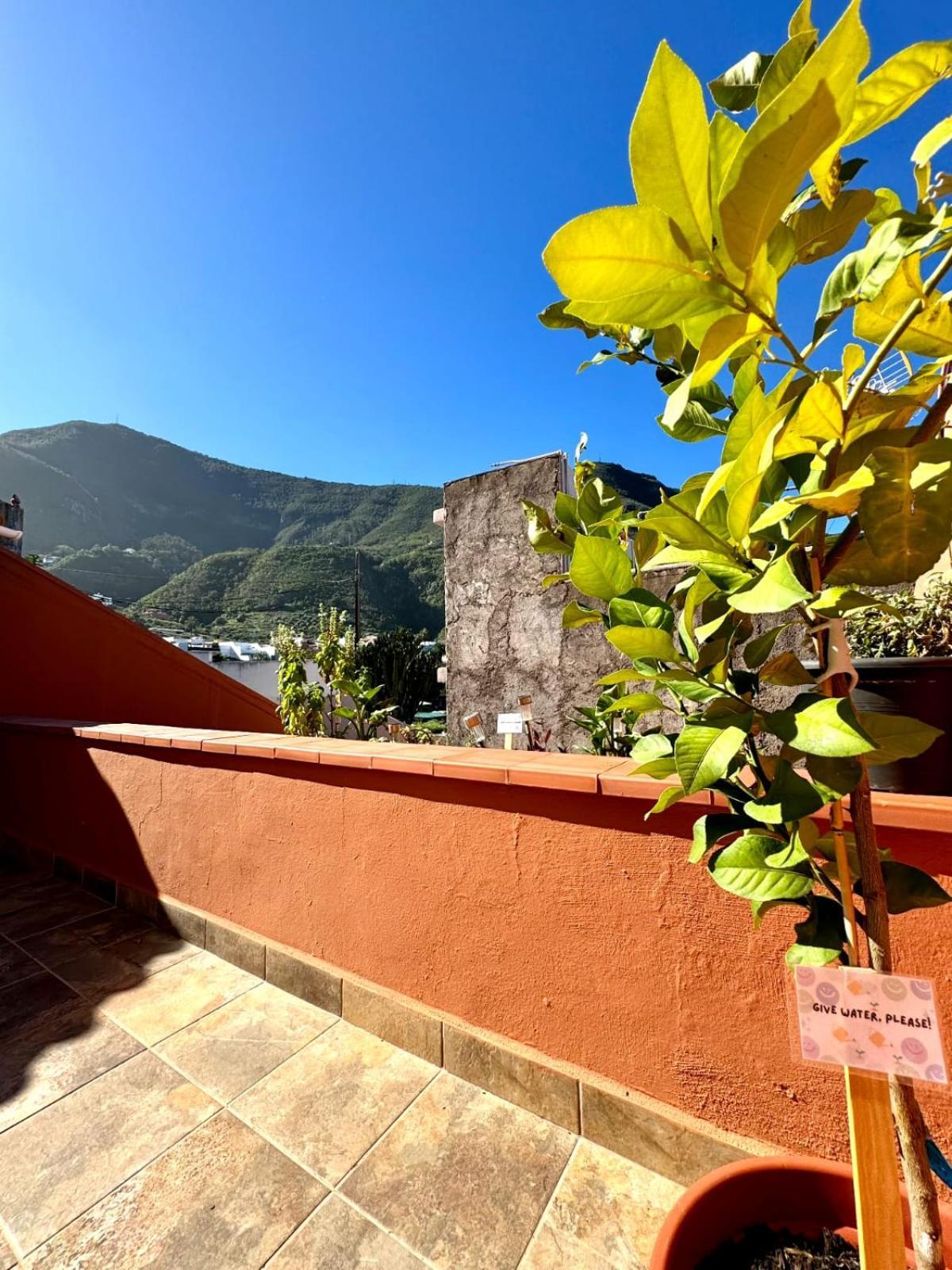 Precioso Apartamento Con Terraza En Piso Superior Los Realejos Bagian luar foto